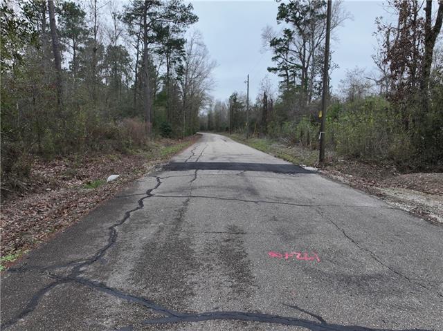 0 Lower Rome Road Springfield, LA 70462 - Photo 23 of 60