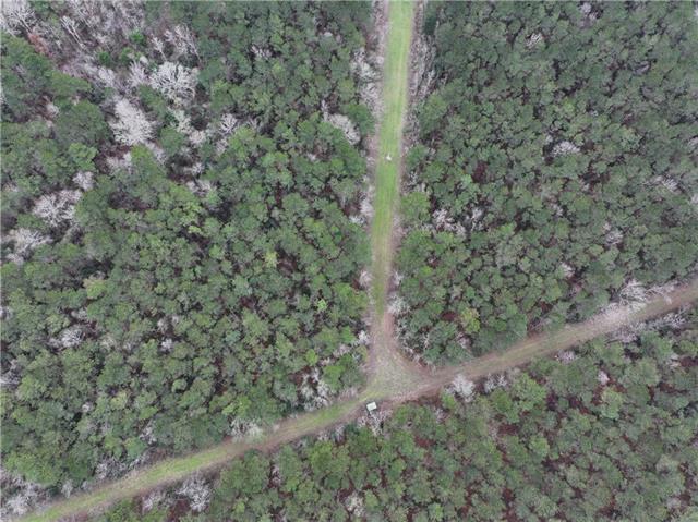 0 Lower Rome Road Springfield, LA 70462 - Photo 24 of 60