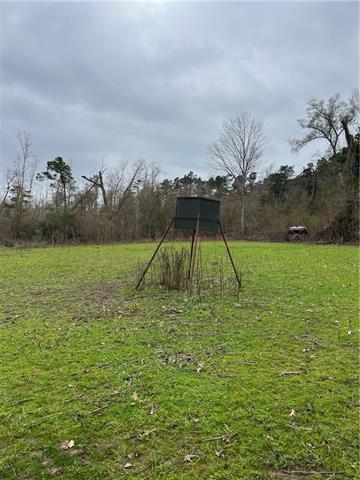 0 Lower Rome Road Springfield, LA 70462 - Photo 25 of 60