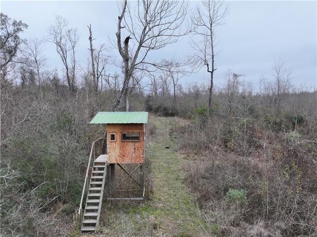 0 Lower Rome Road Springfield, LA 70462 - Photo 26 of 60