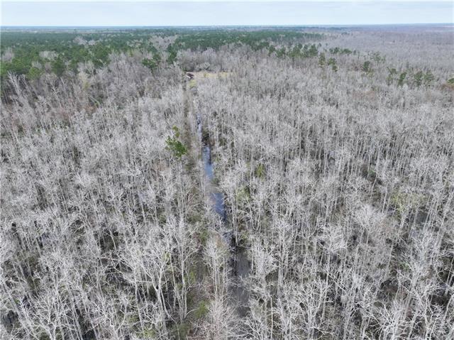 0 Lower Rome Road Springfield, LA 70462 - Photo 27 of 60