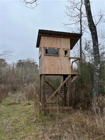 0 Lower Rome Road Springfield, LA 70462 - Photo 29 of 60