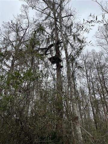 0 Lower Rome Road Springfield, LA 70462 - Photo 30 of 60