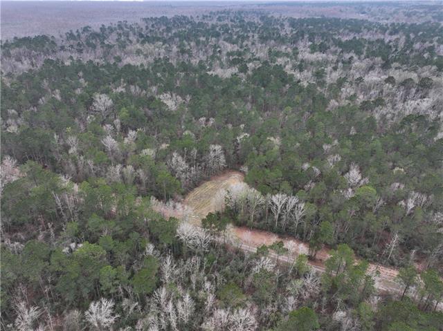 0 Lower Rome Road Springfield, LA 70462 - Photo 3 of 60