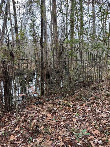 0 Lower Rome Road Springfield, LA 70462 - Photo 31 of 60