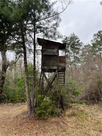 0 Lower Rome Road Springfield, LA 70462 - Photo 37 of 60