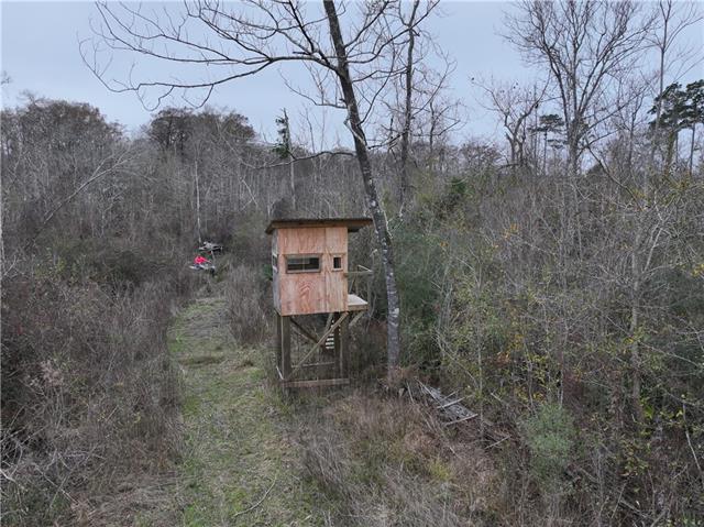 0 Lower Rome Road Springfield, LA 70462 - Photo 4 of 60