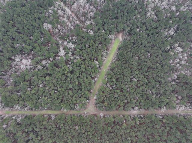 0 Lower Rome Road Springfield, LA 70462 - Photo 42 of 60