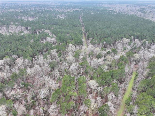 0 Lower Rome Road Springfield, LA 70462 - Photo 43 of 60