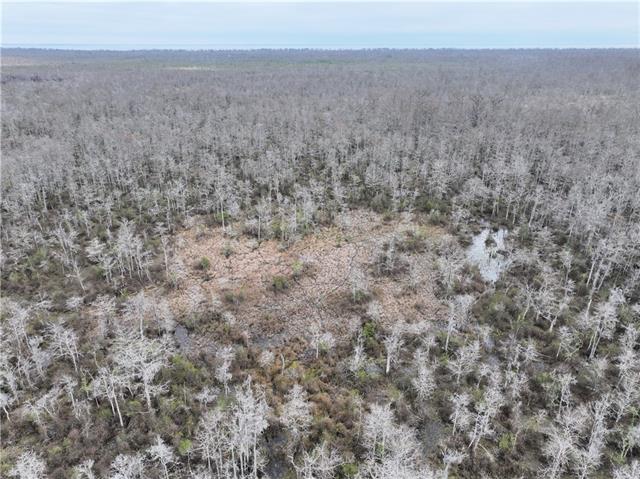 0 Lower Rome Road Springfield, LA 70462 - Photo 44 of 60