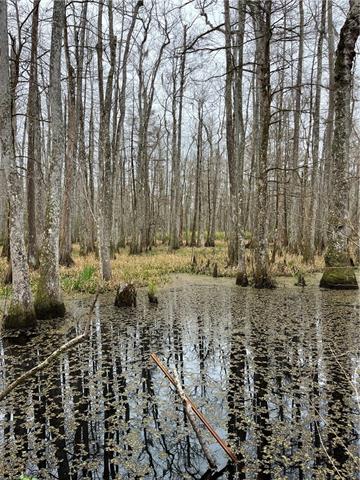 0 Lower Rome Road Springfield, LA 70462 - Photo 49 of 60