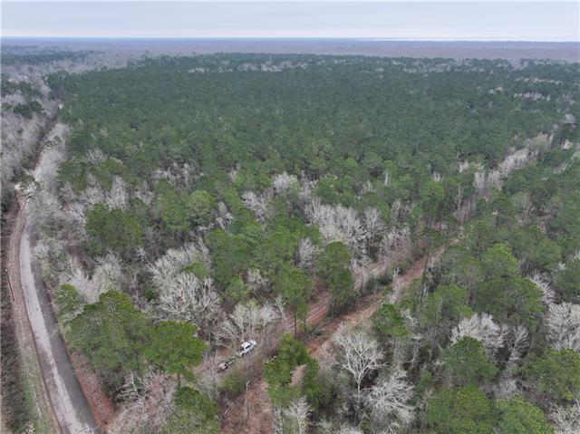 0 Lower Rome Road Springfield, LA 70462 - Photo 50 of 60