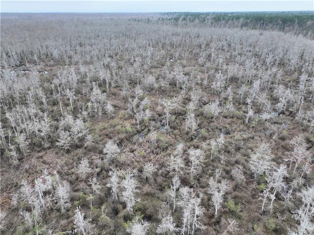 0 Lower Rome Road Springfield, LA 70462 - Photo 51 of 60