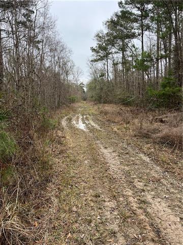 0 Lower Rome Road Springfield, LA 70462 - Photo 52 of 60