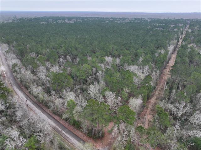 0 Lower Rome Road Springfield, LA 70462 - Photo 56 of 60