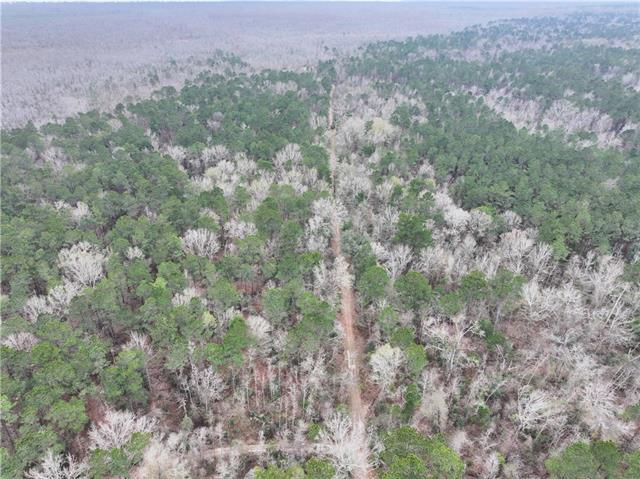 0 Lower Rome Road Springfield, LA 70462 - Photo 57 of 60