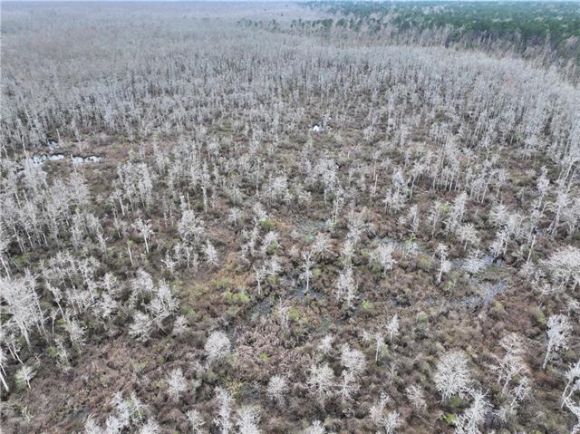 0 Lower Rome Road Springfield, LA 70462 - Photo 60 of 60