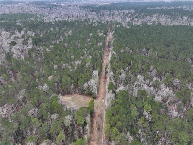 0 Lower Rome Road Springfield, LA 70462 - Photo 6 of 60