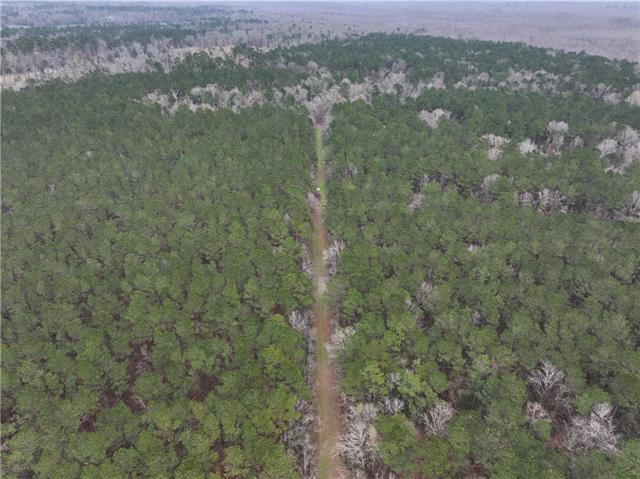 0 Lower Rome Road Springfield, LA 70462 - Photo 10 of 60