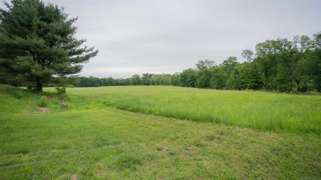 a view of grassy field with trees