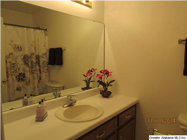 1176 Whites Gap Road Southeast Jacksonville, AL 36265 - Photo 26 of 29