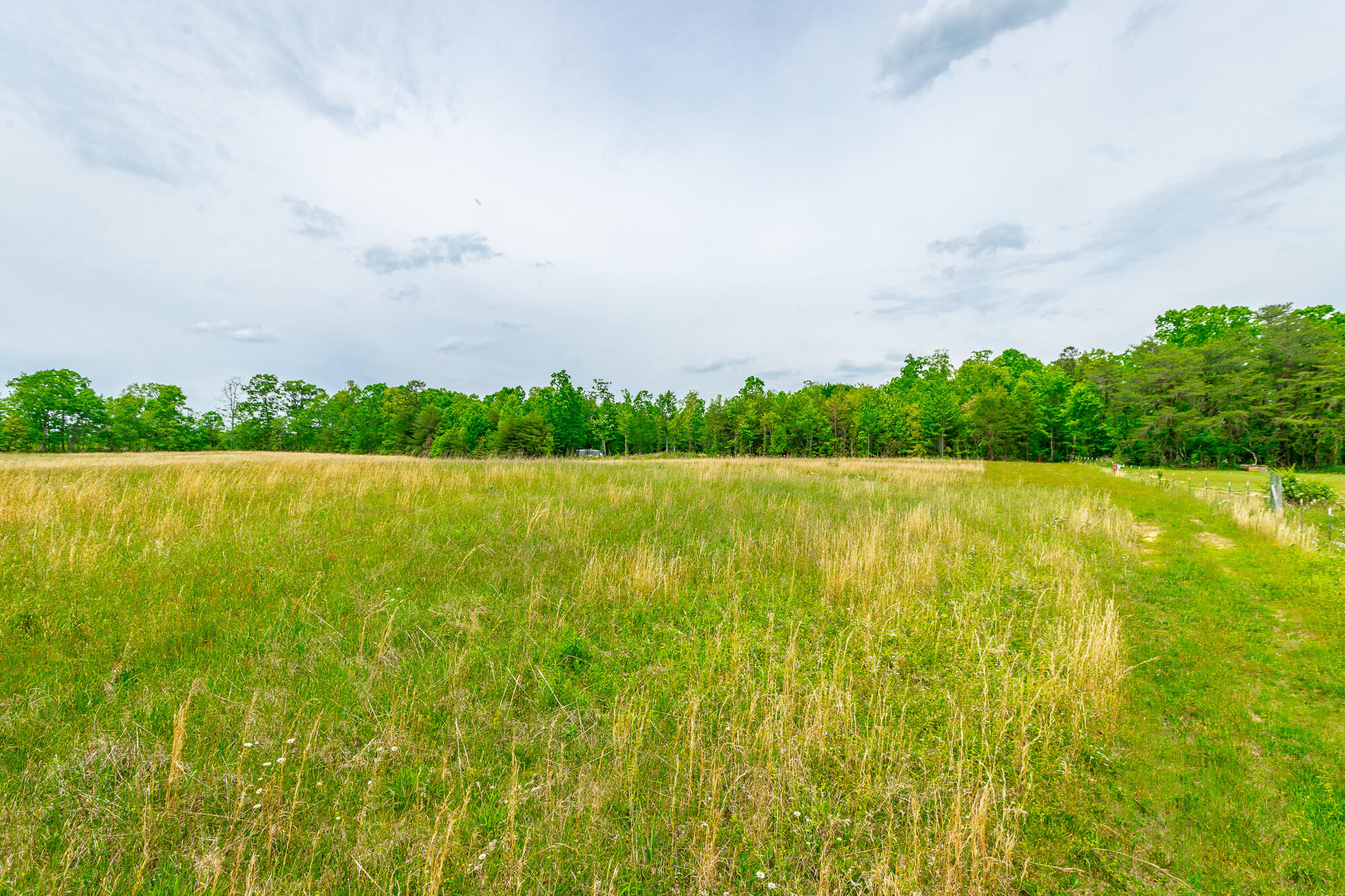 0 Ray Gadd Road Graysville, TN 37338 - Photo 57 of 109 Ray Gadd Road Lot HD-49