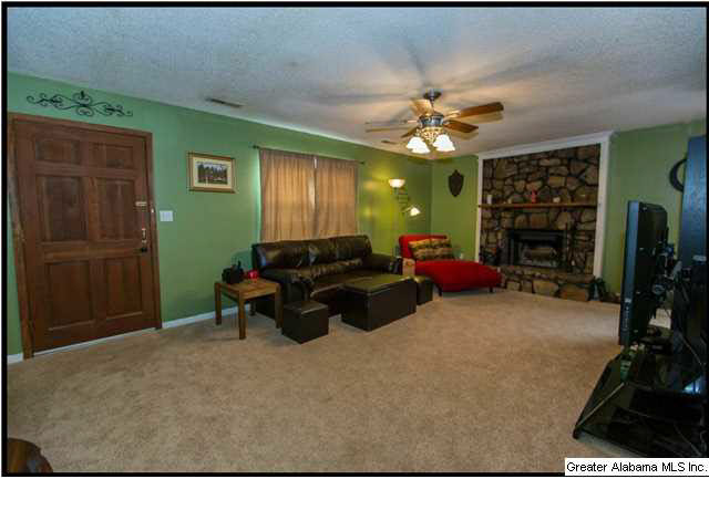 201 Canoe Creek Road Springville, AL 35146 - Photo 13 of 30 Gallery Image 13