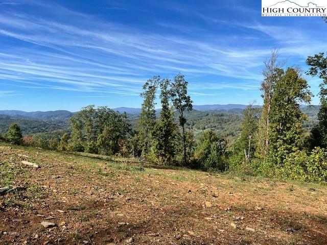 Mcneill Road Lansing, NC 28643 - Photo 11 of 18
