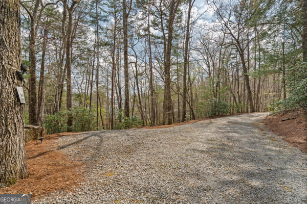 2040 Blalock Goldmine Road Clayton, GA 30525 - Photo 57 of 77