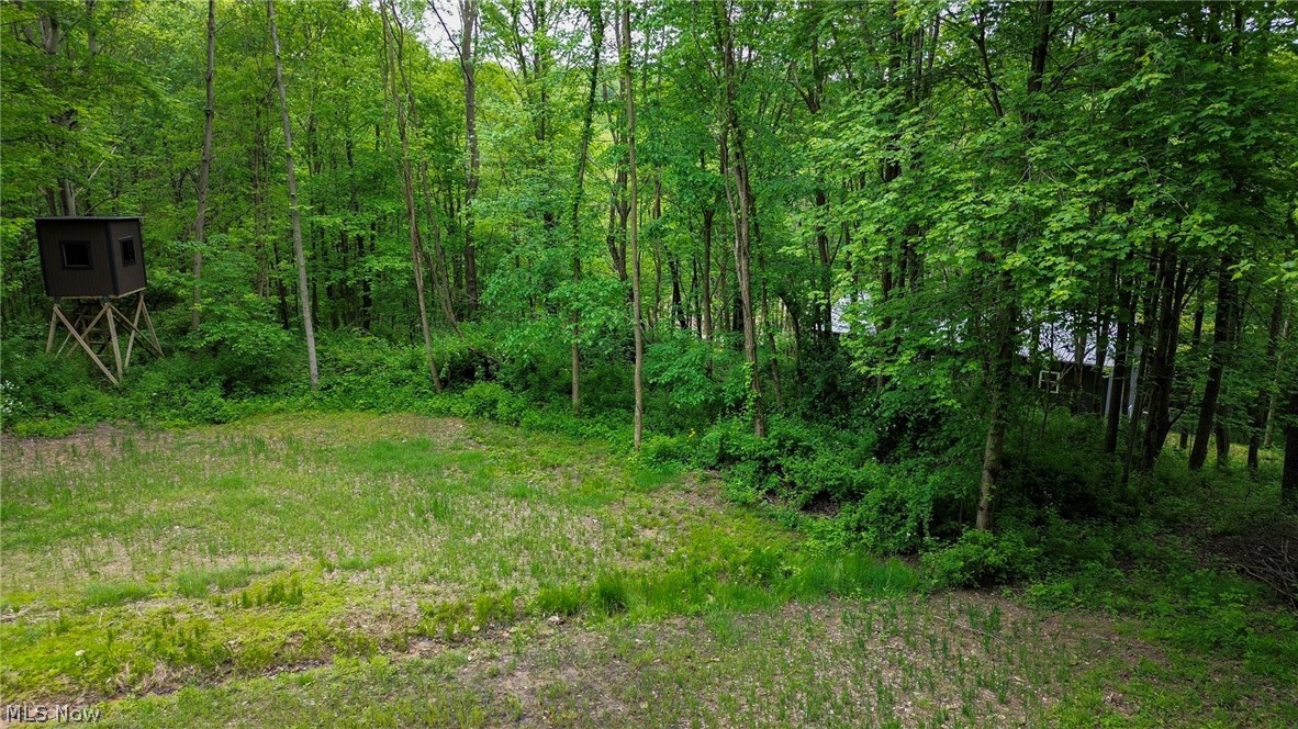 5309 Cherry Run Road Northwest Strasburg, OH 44680 - Photo 12 of 49