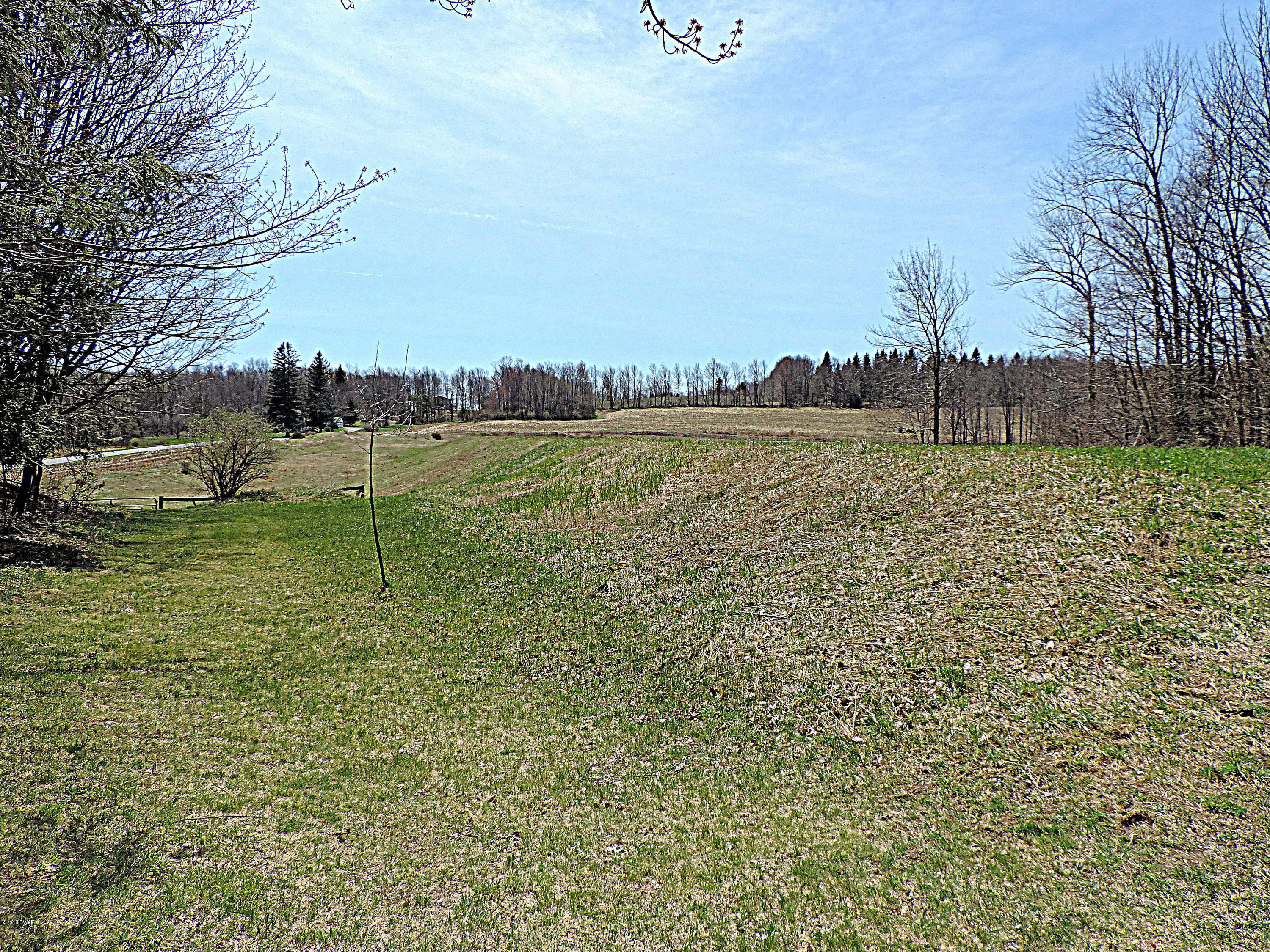 441 Huckleberry Road Newfoundland, PA 18445 - Photo 47 of 58
