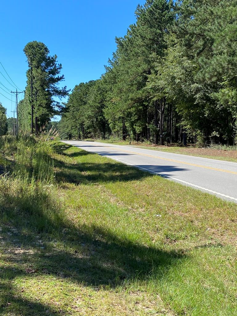 0 Reynolds Pond Road Trenton, SC 29847 - Photo 1 of 3