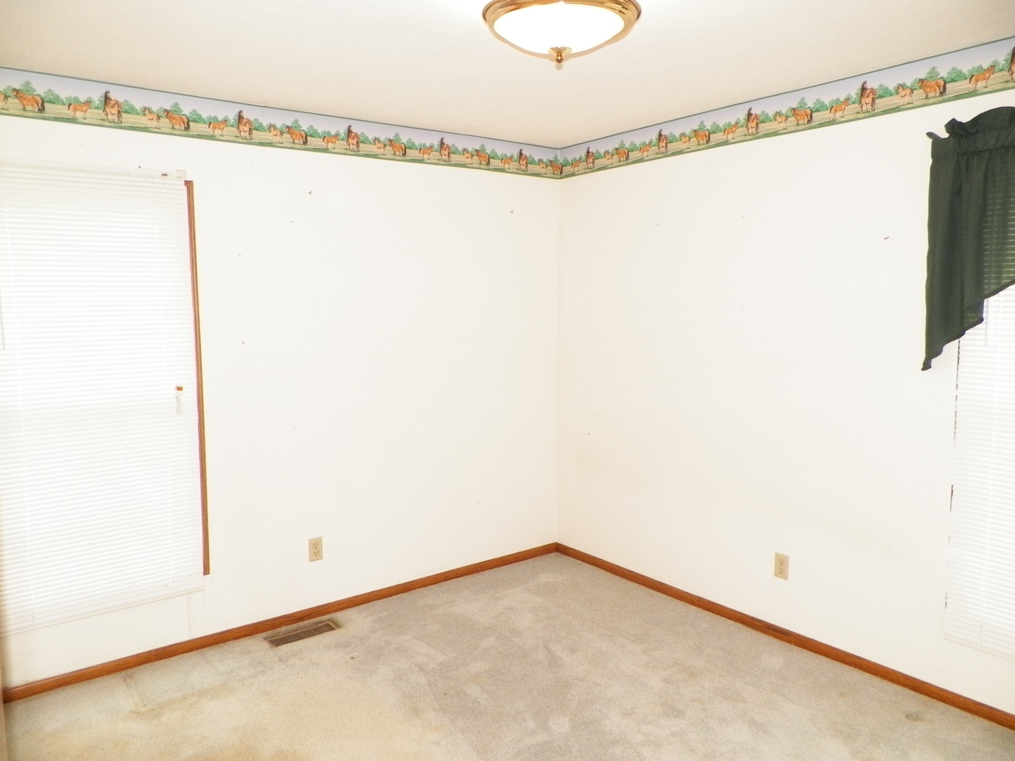 1067 Carthage Road Red Boiling Springs, TN 37150 - Photo 7 of 11