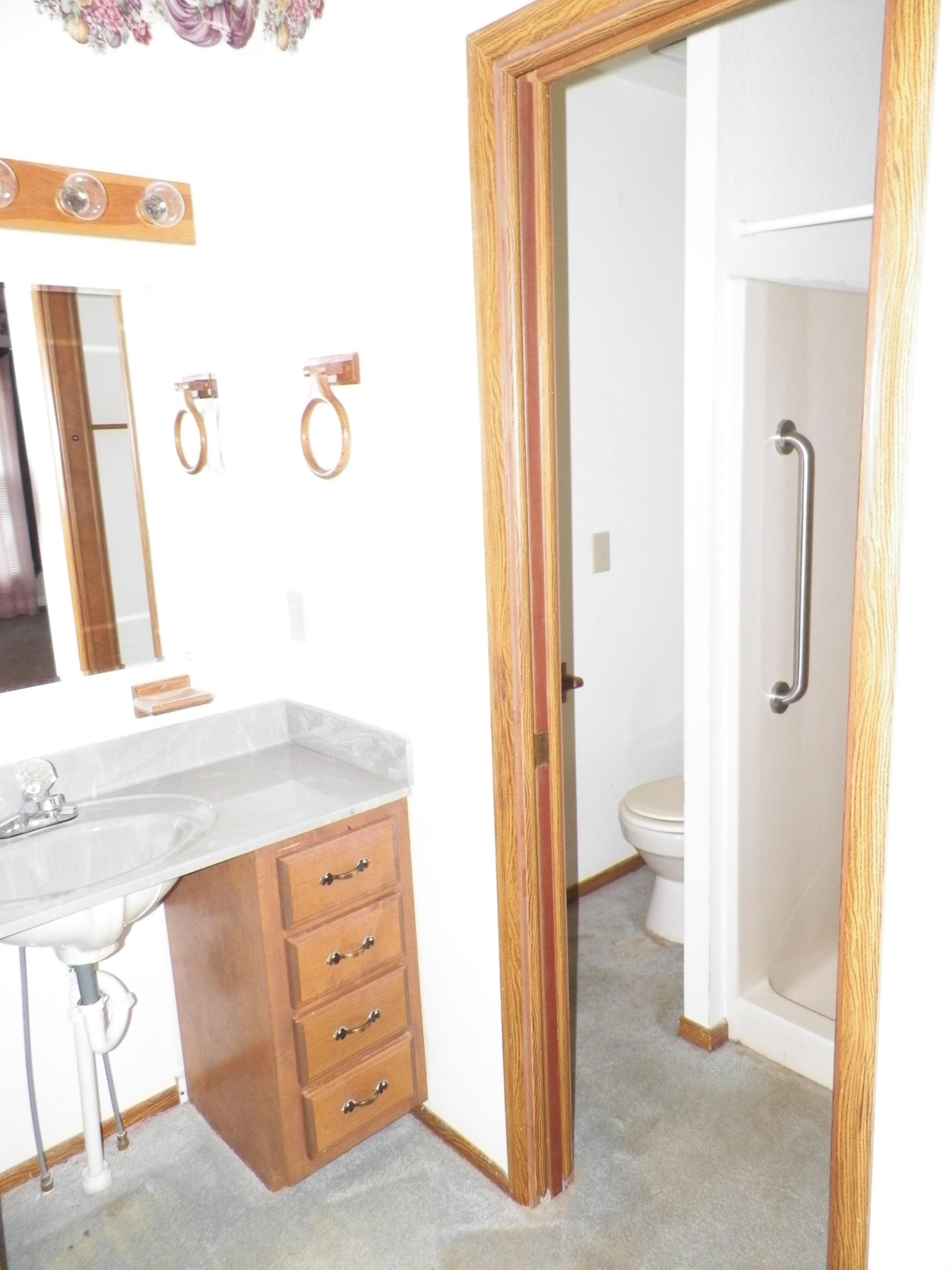 1067 Carthage Road Red Boiling Springs, TN 37150 - Photo 9 of 11