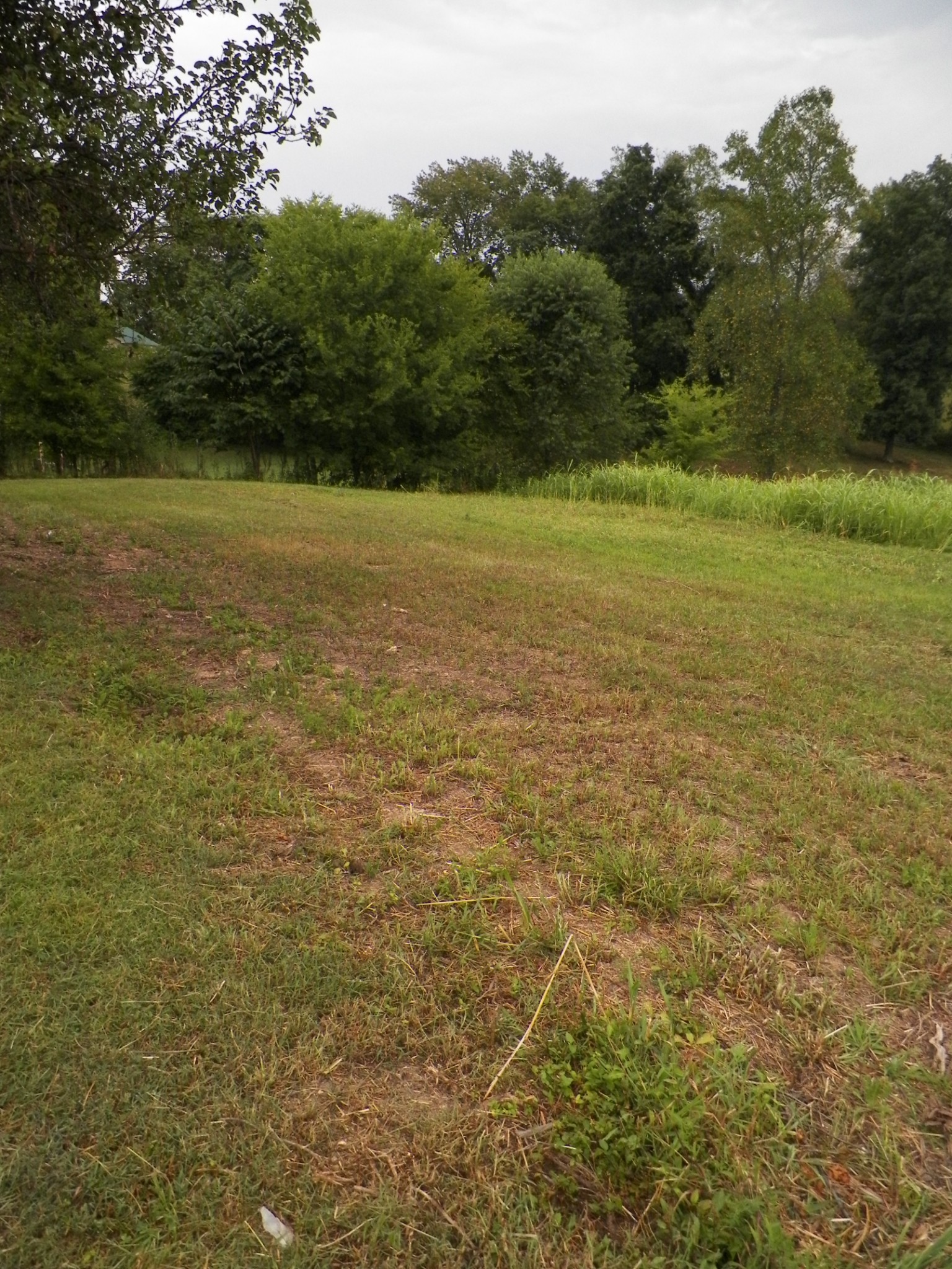 1067 Carthage Road Red Boiling Springs, TN 37150 - Photo 10 of 11