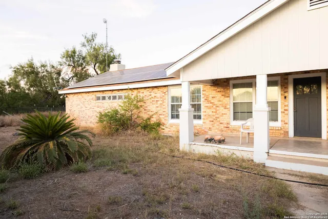 a view of backyard with a large tree and plants