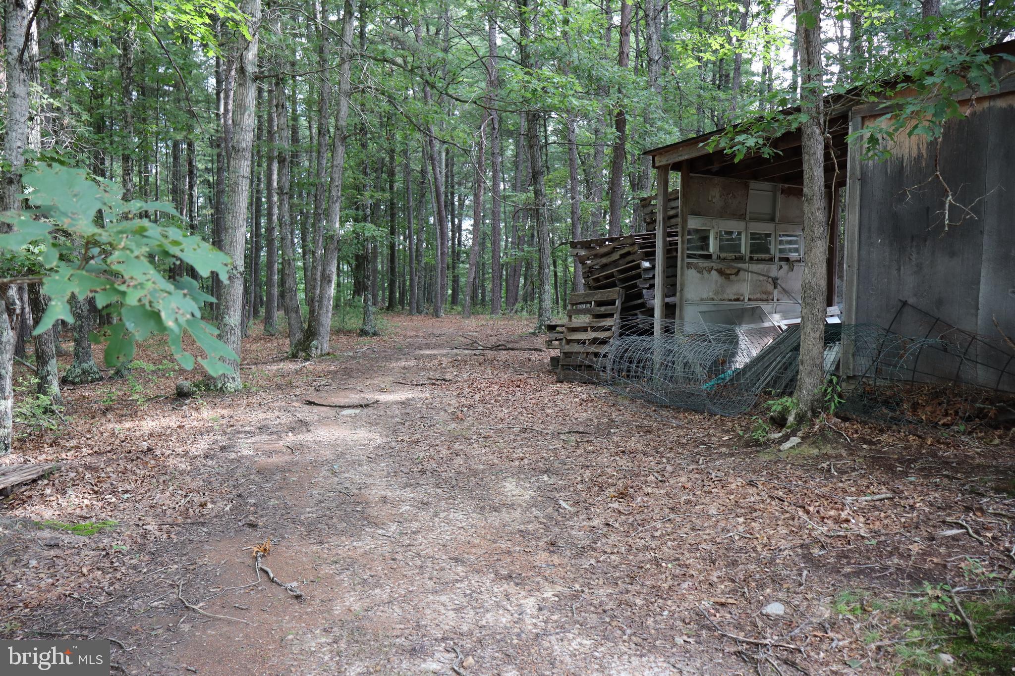 418 R R & R Ridge Road Brandywine, WV 26802 - Photo 22 of 43 a view of a forest with trees