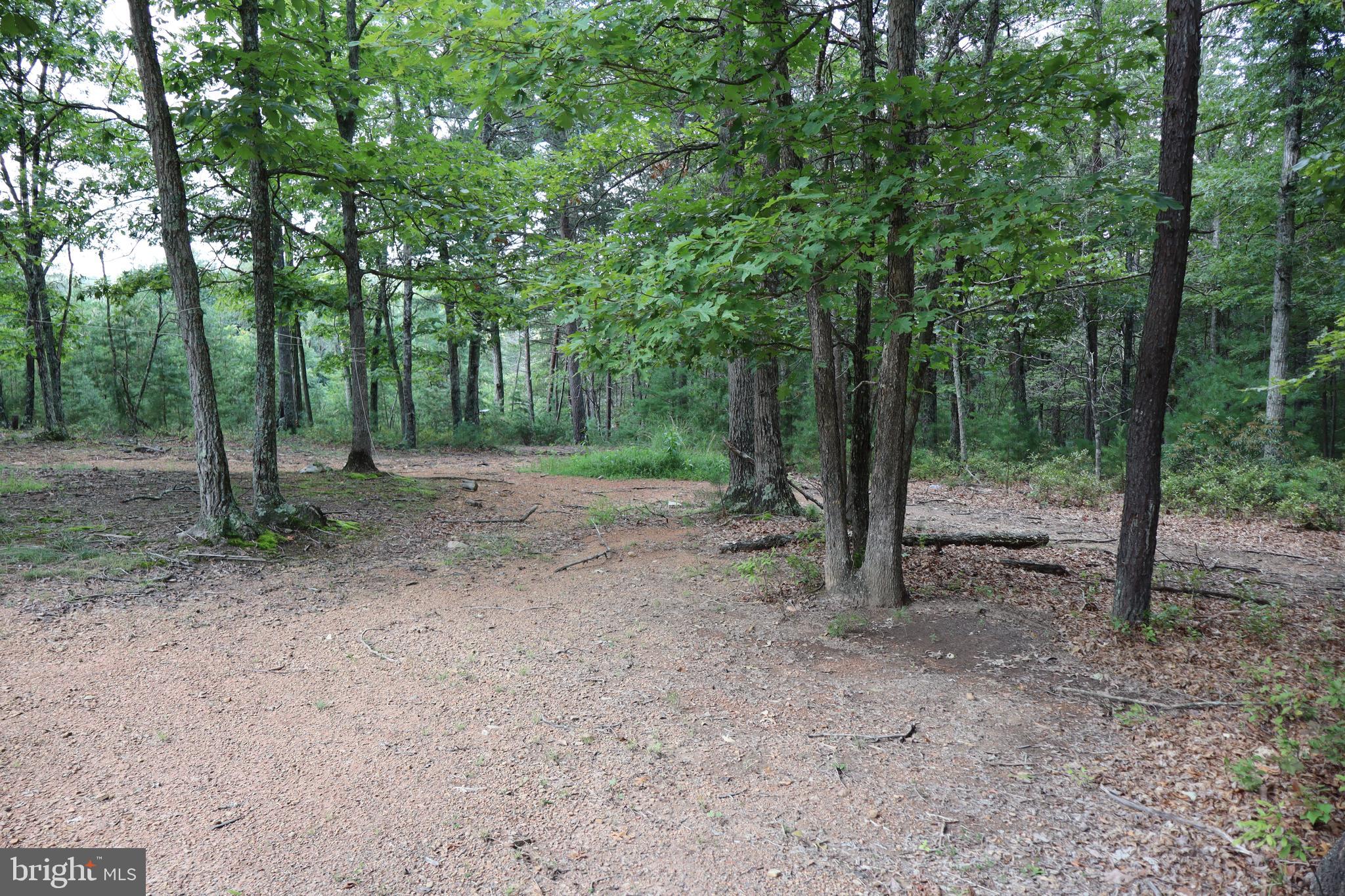 418 R R & R Ridge Road Brandywine, WV 26802 - Photo 24 of 43 a view of a forest with trees in the background