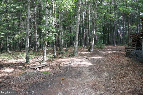 a view of outdoor space with green field and trees