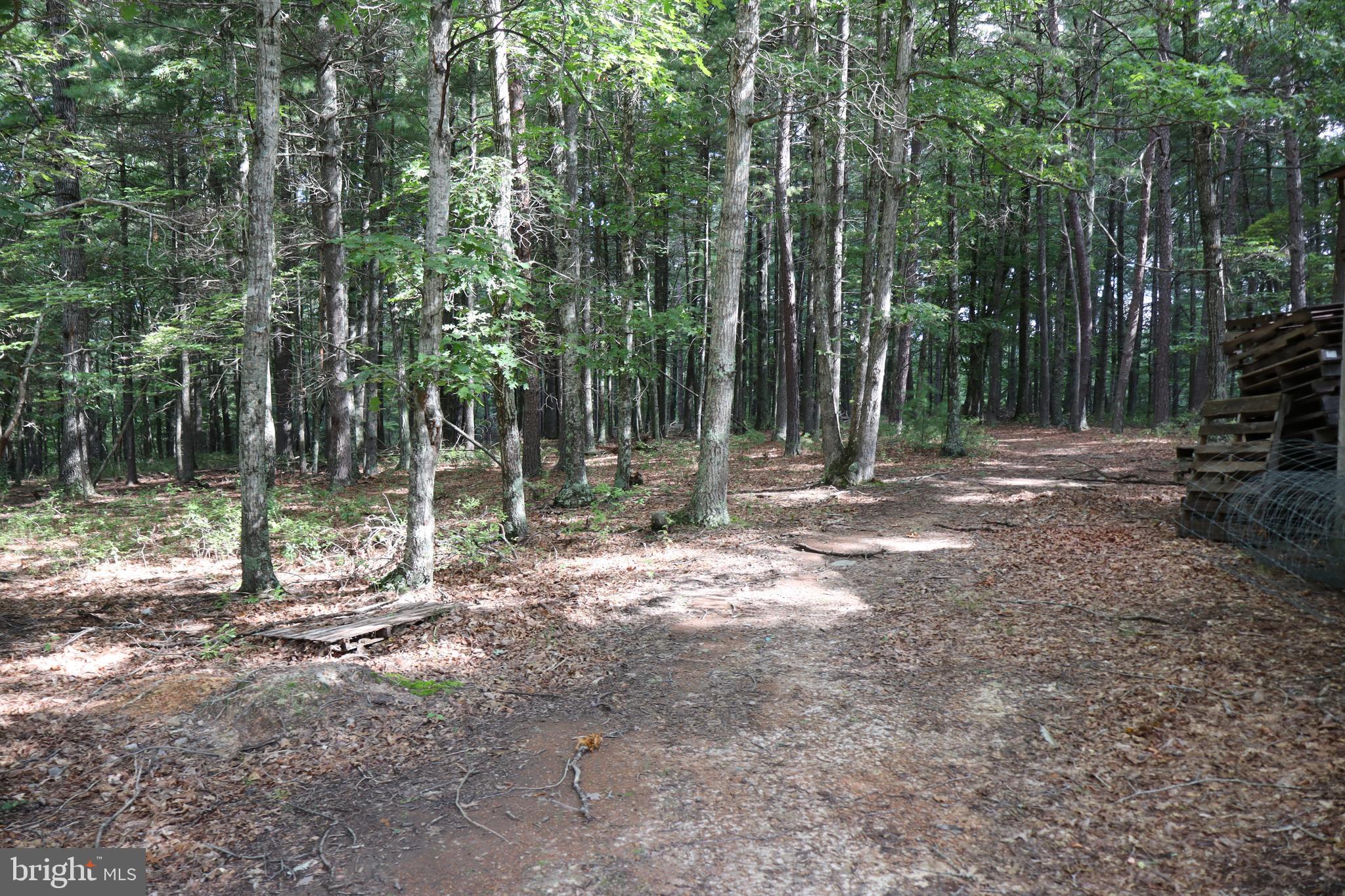 418 R R & R Ridge Road Brandywine, WV 26802 - Photo 25 of 43 a backyard of a house with lots of green space
