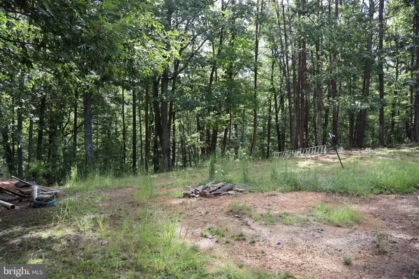 a view of outdoor space with trees all around