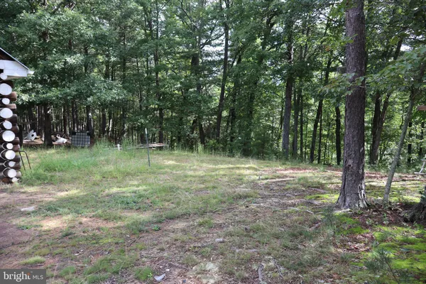 a view of outdoor space with trees