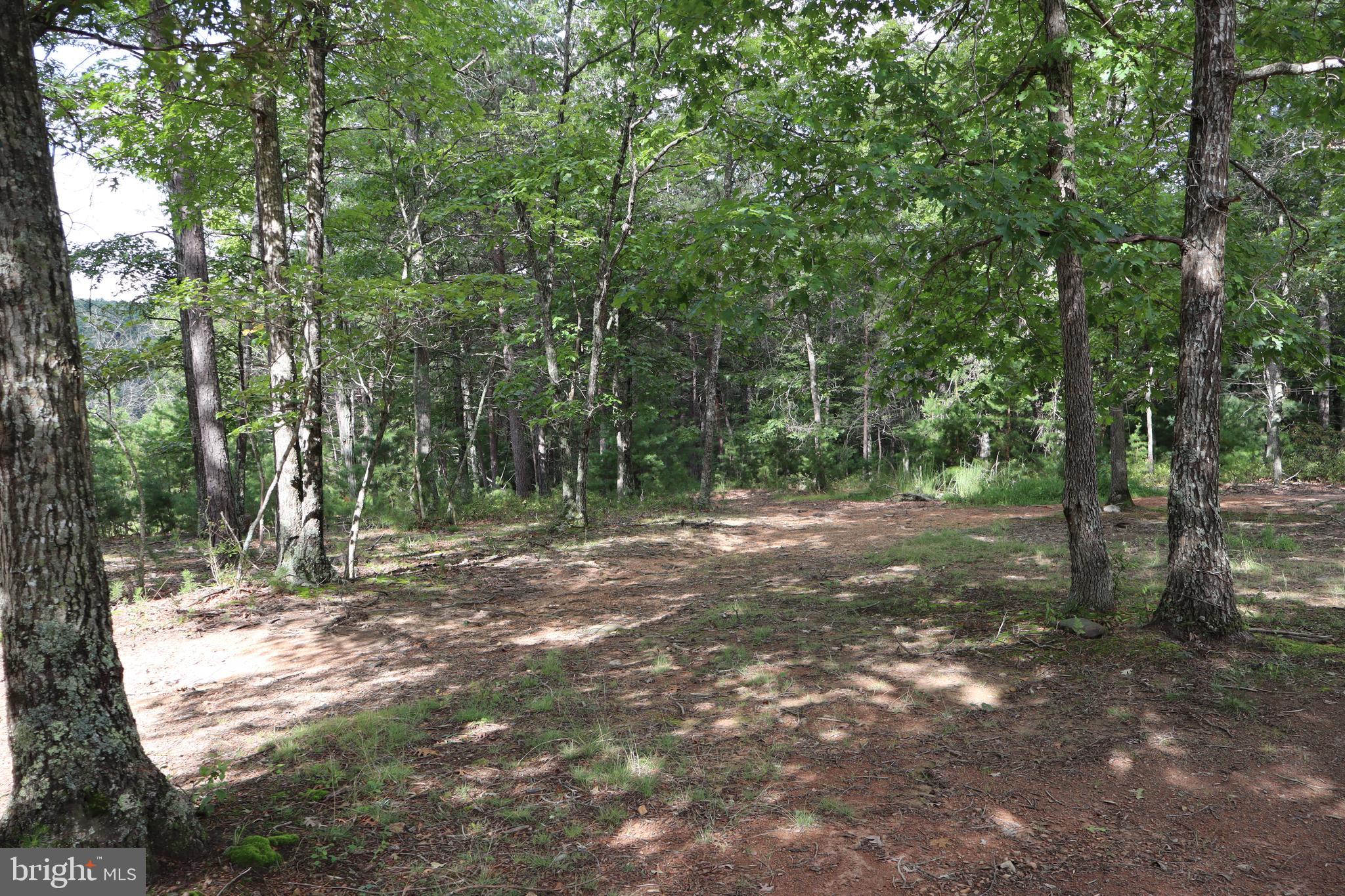 418 R R & R Ridge Road Brandywine, WV 26802 - Photo 29 of 43 a view of outdoor space with trees