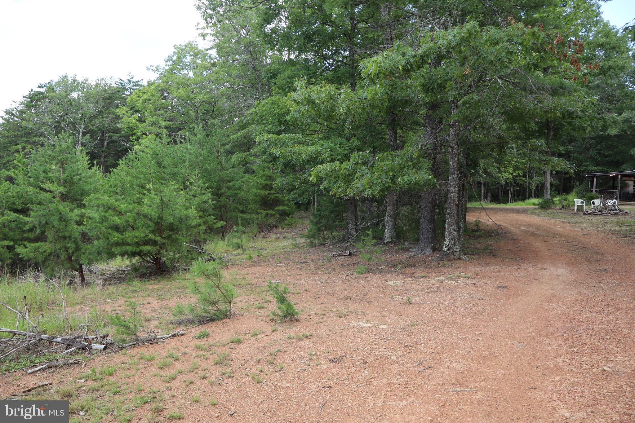 418 R R & R Ridge Road Brandywine, WV 26802 - Photo 30 of 43 a view of a dirt road with a trees in the background