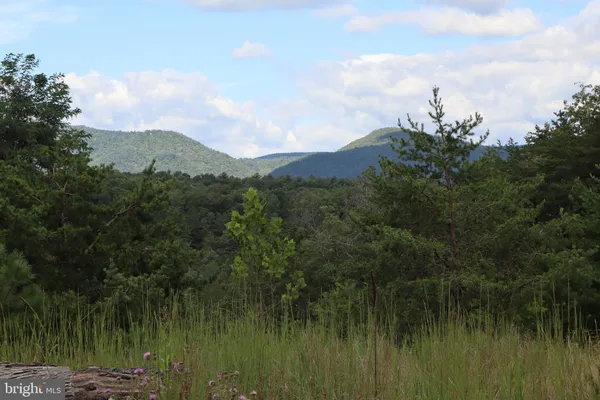 a view of a lake with a yard and mountain in the back