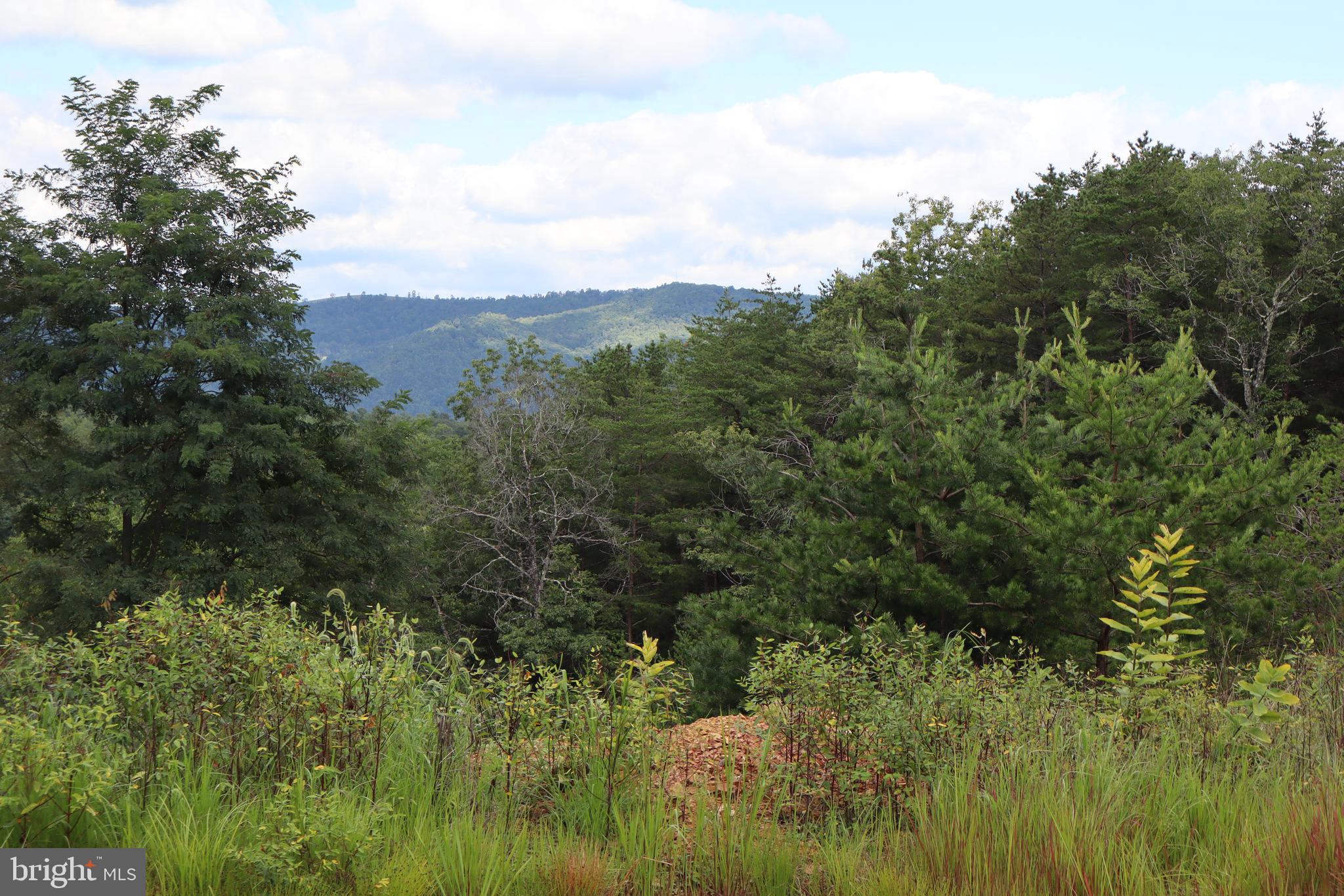 418 R R & R Ridge Road Brandywine, WV 26802 - Photo 32 of 43