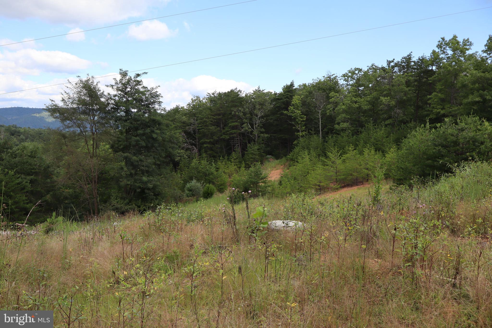 418 R R & R Ridge Road Brandywine, WV 26802 - Photo 33 of 43 a view of a lake with a yard and mountain in the back