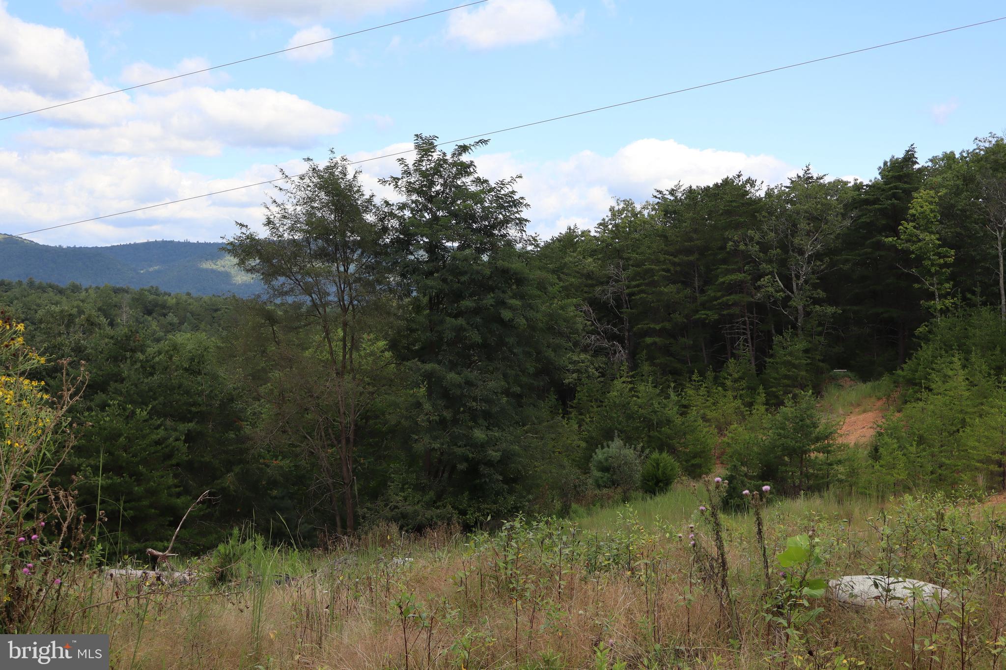 418 R R & R Ridge Road Brandywine, WV 26802 - Photo 34 of 43 a view of a yard