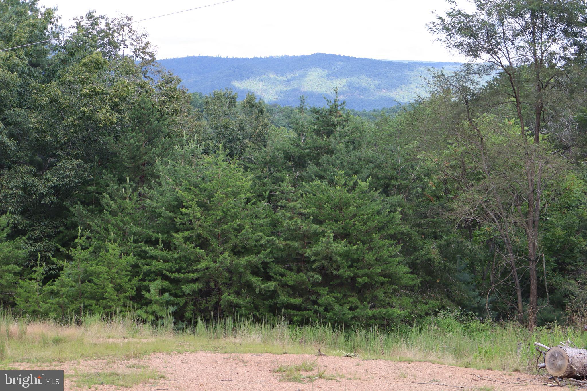 418 R R & R Ridge Road Brandywine, WV 26802 - Photo 37 of 43 a view of lake with a mountain in the background