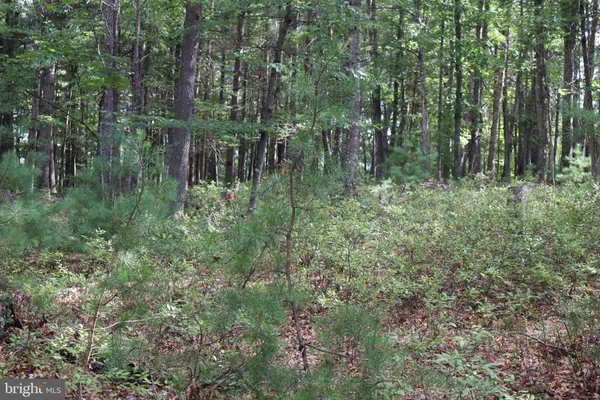 $189,900 | 418 R R & R Ridge Road, Brandywine, WV 26802